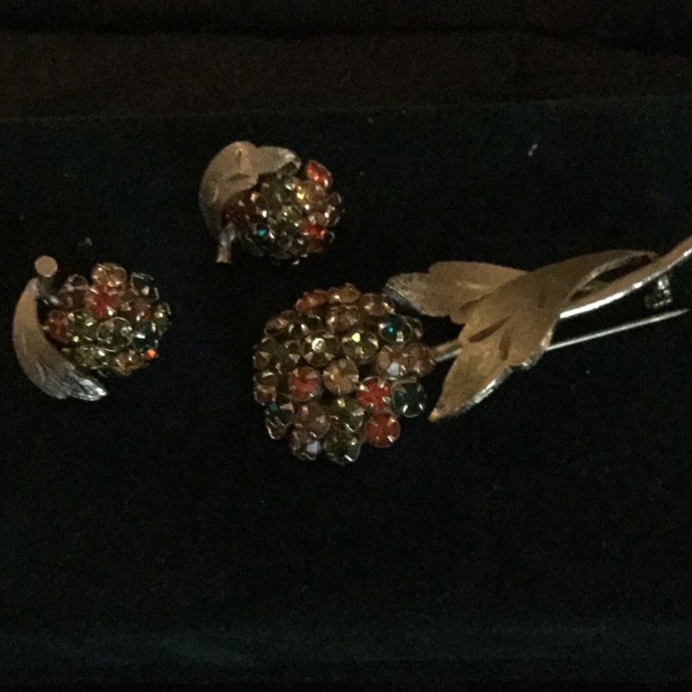 Vintage earring and pin set with velvet case.
